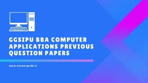 GGSIPU BBA Computer Application Previous paper