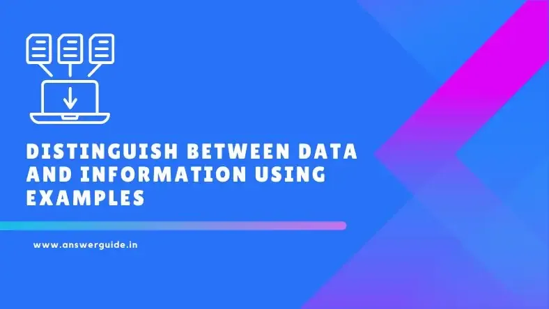 Distinguish Between Data and Information Using Examples