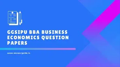 GGSIPU BBA Business Economics Question Papers