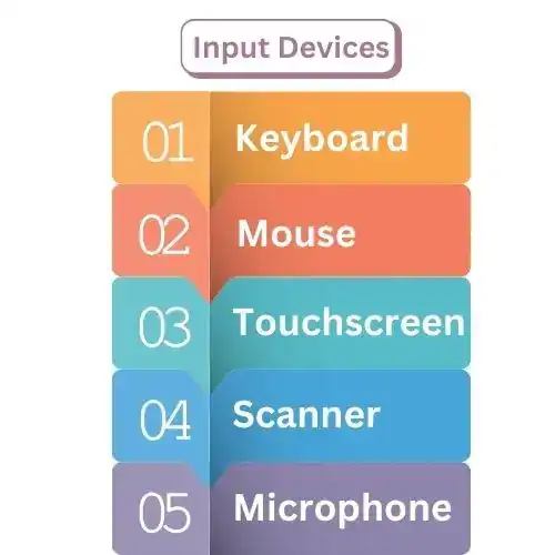 Types of Input Devices